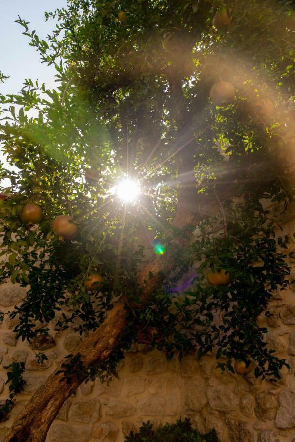 Yesil Ev Cafe & Boutique Hotel HATAY Exterior foto